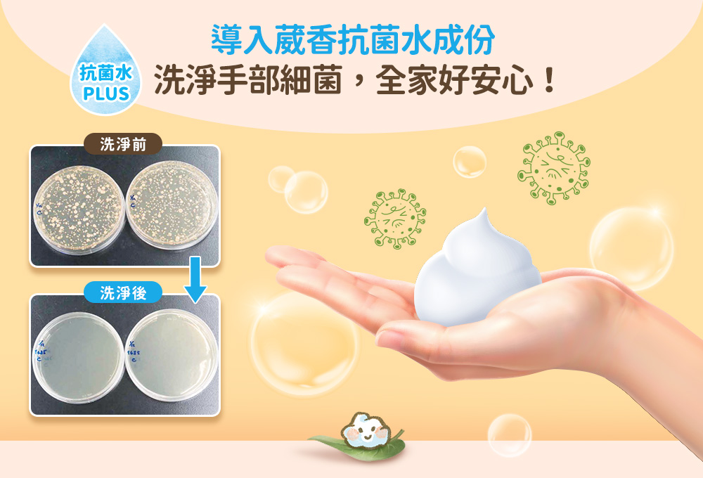 毛寶葳香抗菌洗手慕斯300g