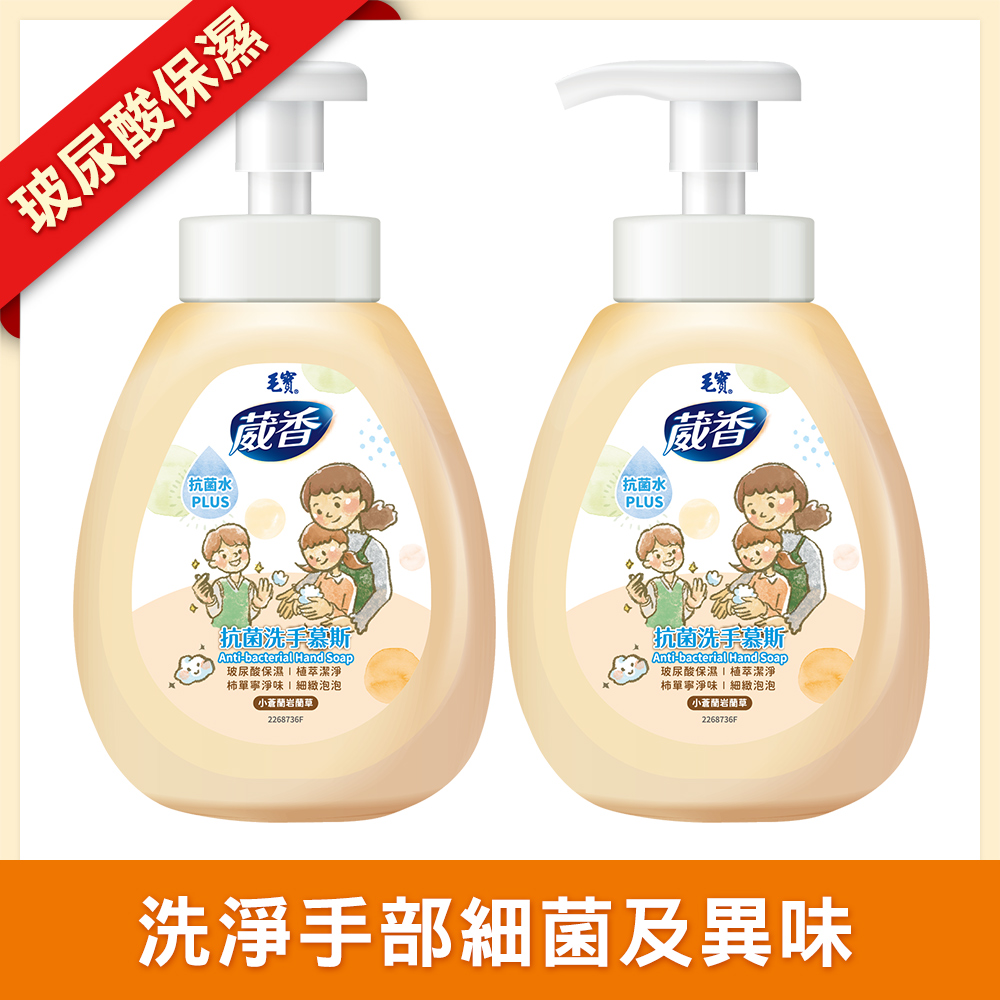 【毛寶】葳香抗菌洗手慕斯300g x2