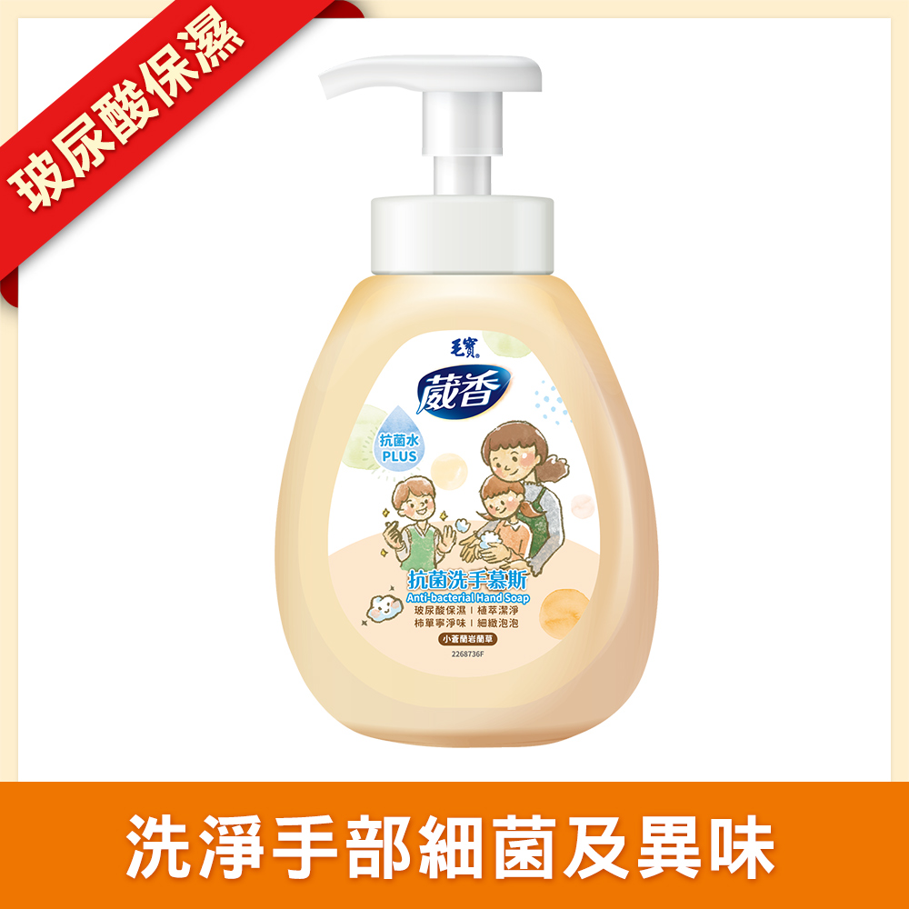 【毛寶】葳香抗菌洗手慕斯300g